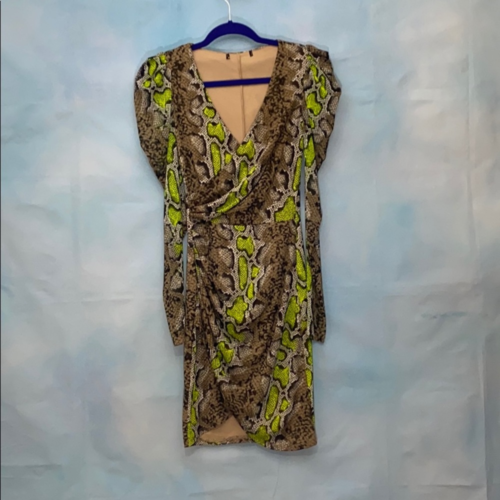 Snake Print Long Sleeve Mini Dress